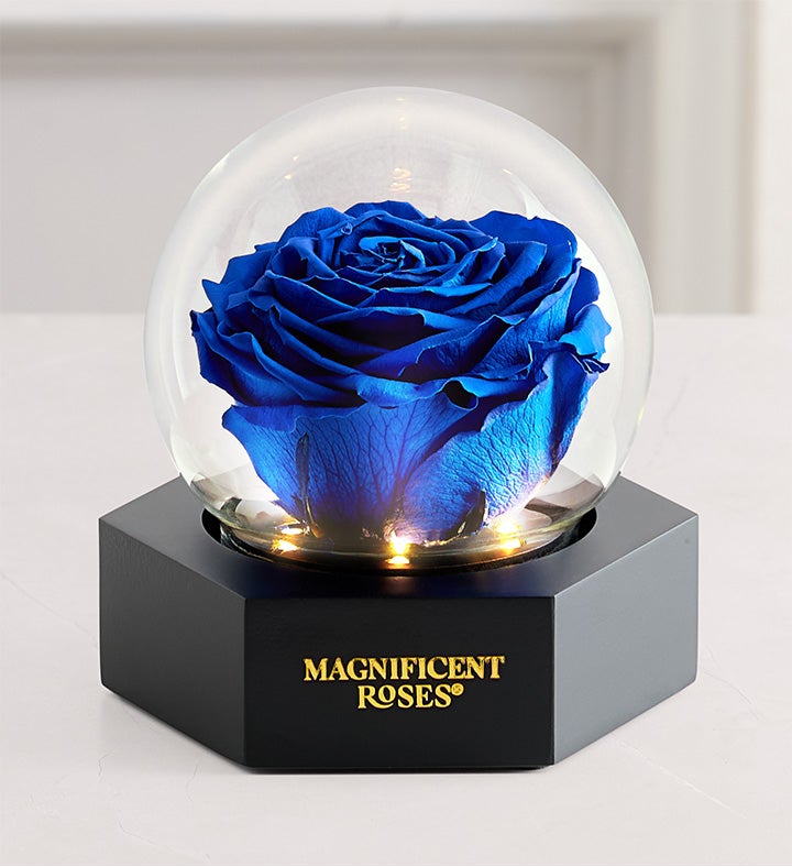 Magnificent Roses® Preserved Illuminating Rose