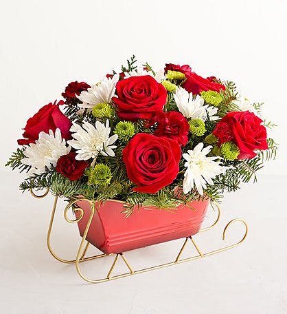 Dashing Through the Snow Sleigh™