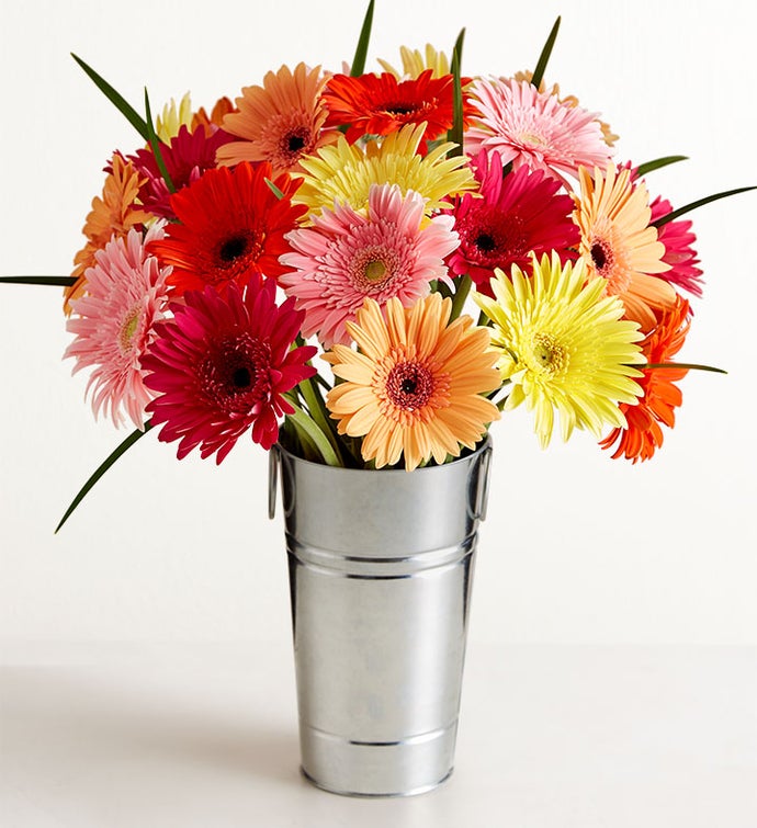 Happy Gerbera Daisies, 12 24 Stems