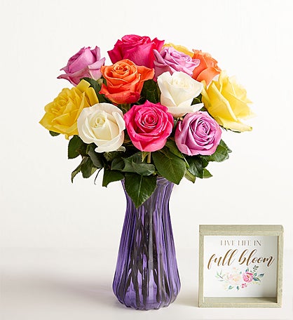 One Dozen Assorted Roses