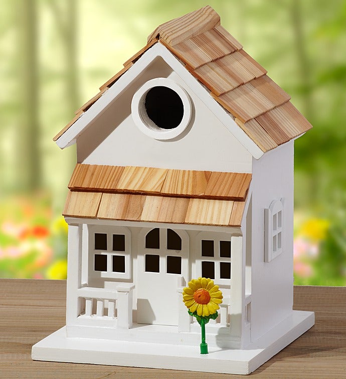 Birdhouse for All Seasons