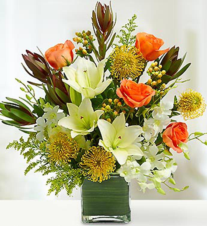 Tropical Arrangement
