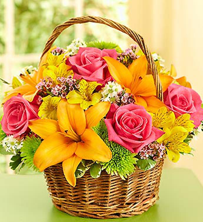 Basket Arrangement