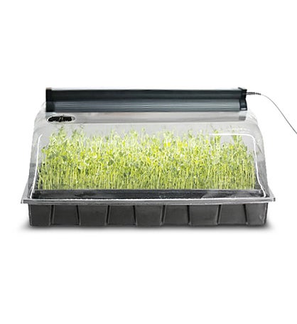 Seed Sprouting Biodome with LED Light