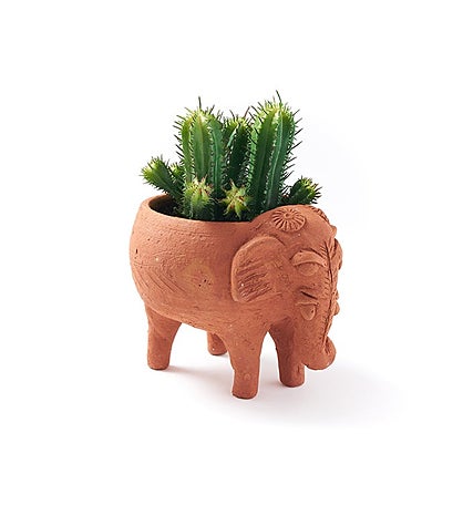 Rakshana Plant Pals