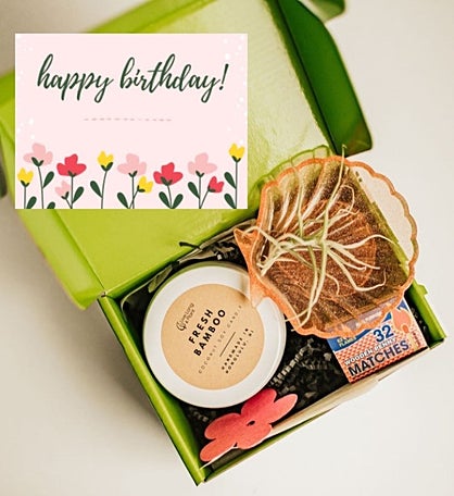 Happy Birthday Air Plant & Candle Gift Box