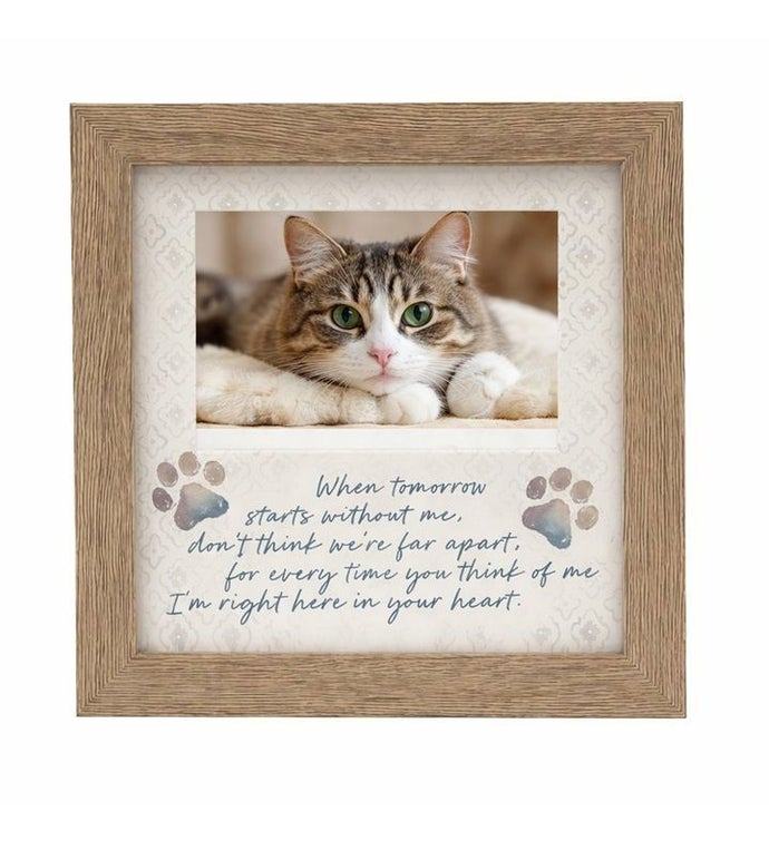 Pet Memorial Frame Sympathy Gift for Loss of a Faithful Friend