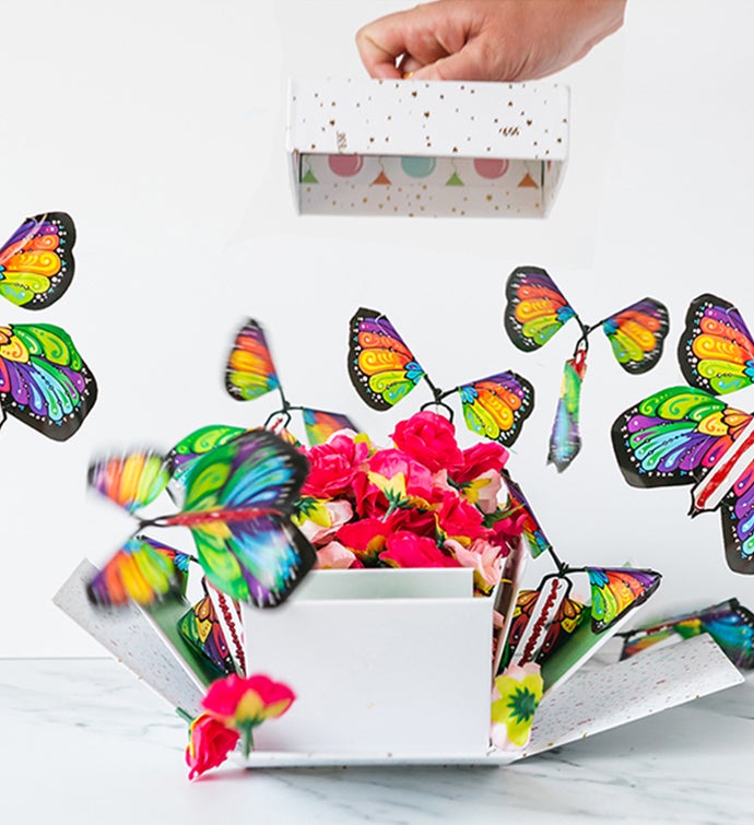 Surprise Explosion Chocolate Chip Cake Gift Box