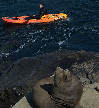 La Jolla Sea Caves Kayak Tour For 2 People in Single Kayaks - California
