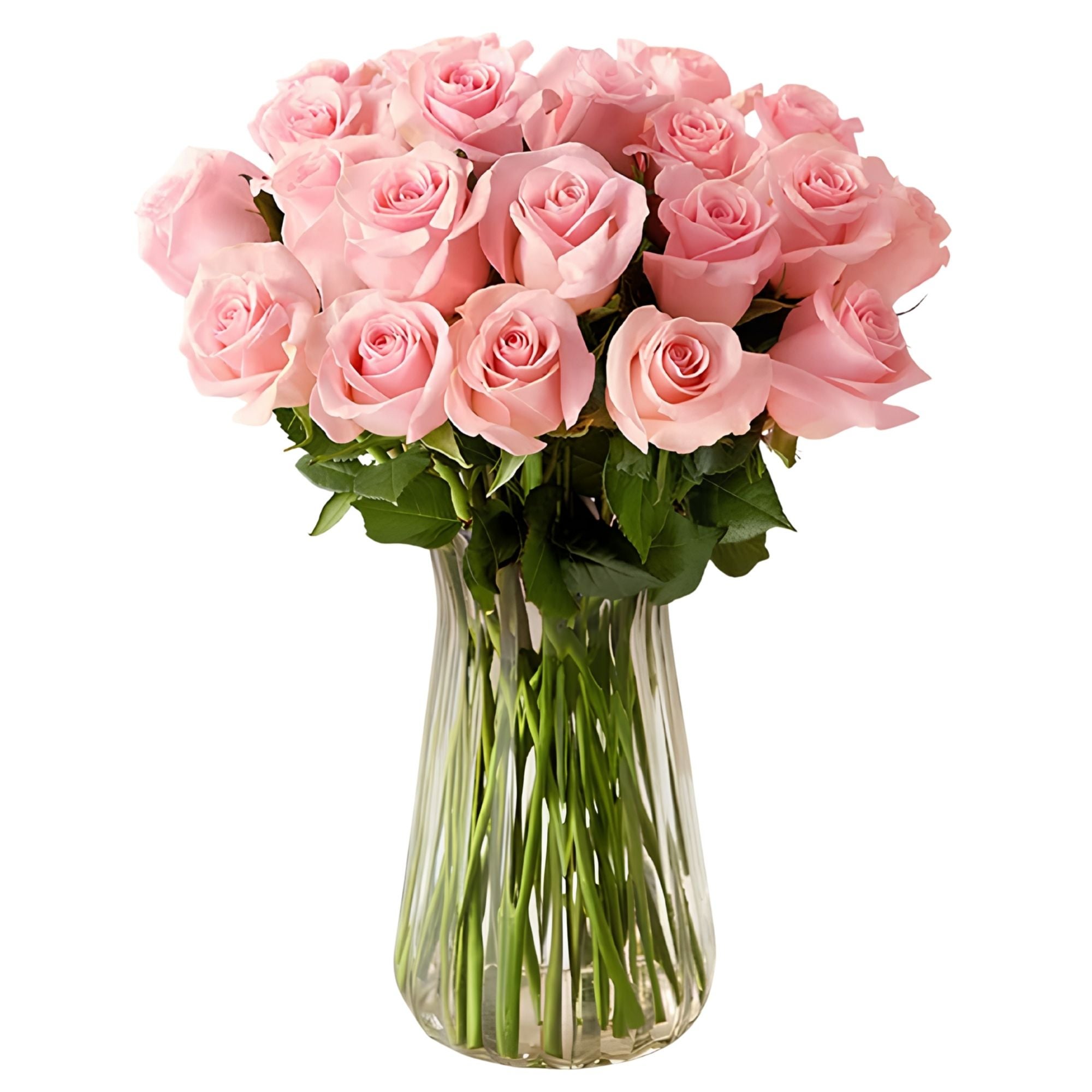 Pink Petal Roses