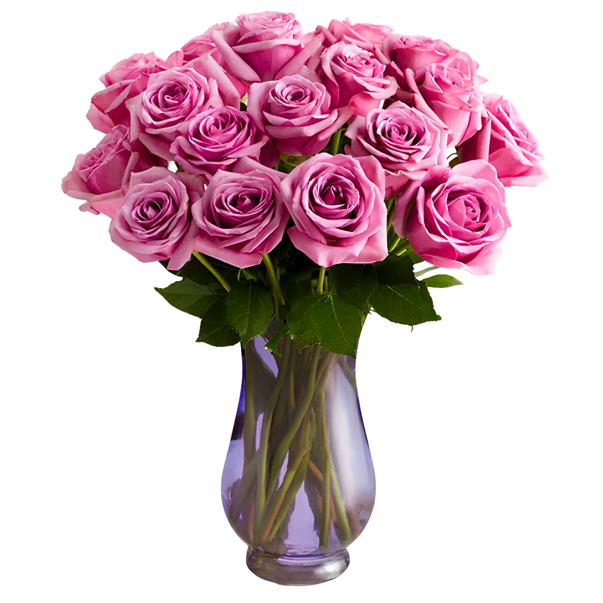Passion for Purple Roses