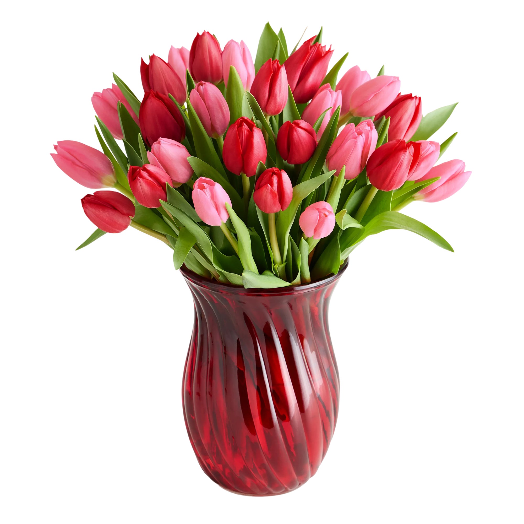 Sweetest Love Tulips