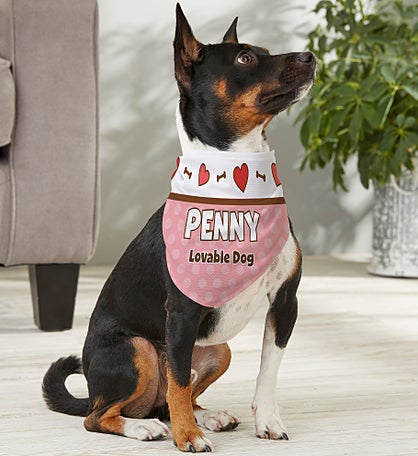 Be My Valentine Personalized Bandana