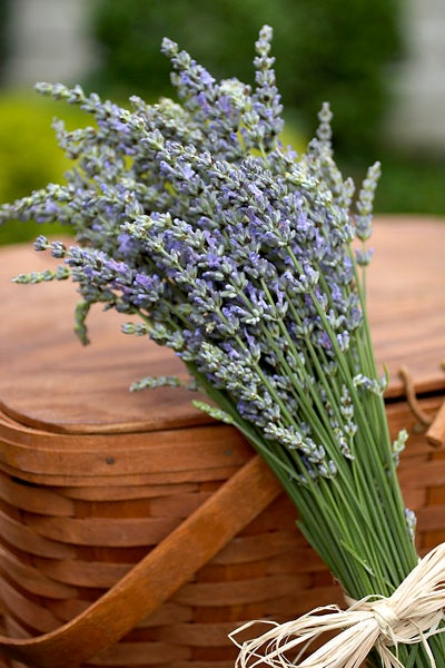 A Bundle of Lavender Tied Next to Picnic Basket