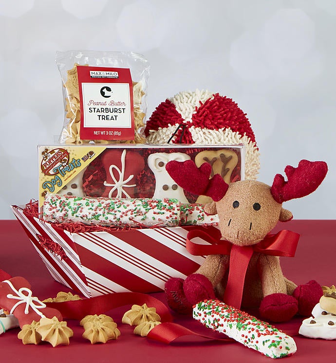 Max & Milo™ Holiday Dog Treats Gift Basket