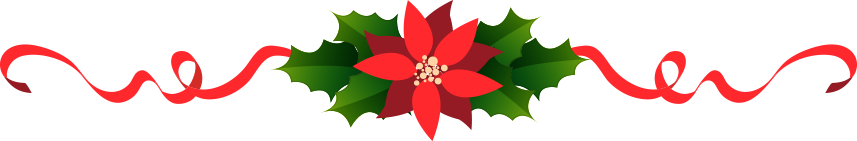 Types Of Christmas Flowers