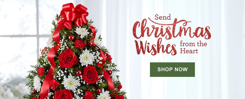 Christmas Flowers & Gifts