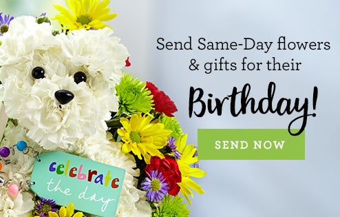 Same-Day Gift Baskets | Same-Day Gifts Delivery | 1-800 ... on Same Day Flowers id=35378