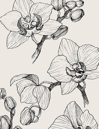 <p>Orchid Hunting In<br> Victorian Times<br> Was No Joke</p>