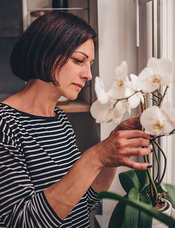 <p>Orchids Are<br> Easy To Care For</p>