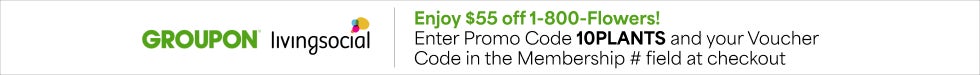 1800Flowers promos and coupons