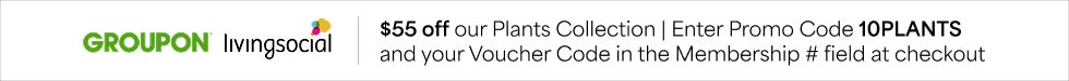 1800Flowers promos and coupons