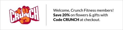 Classic Chocolate Chip Cookie Flavor Box