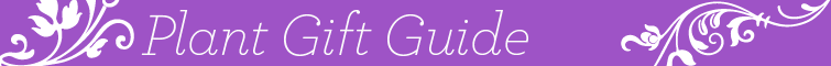 Plant Gift Guide - From Your Plants Authority