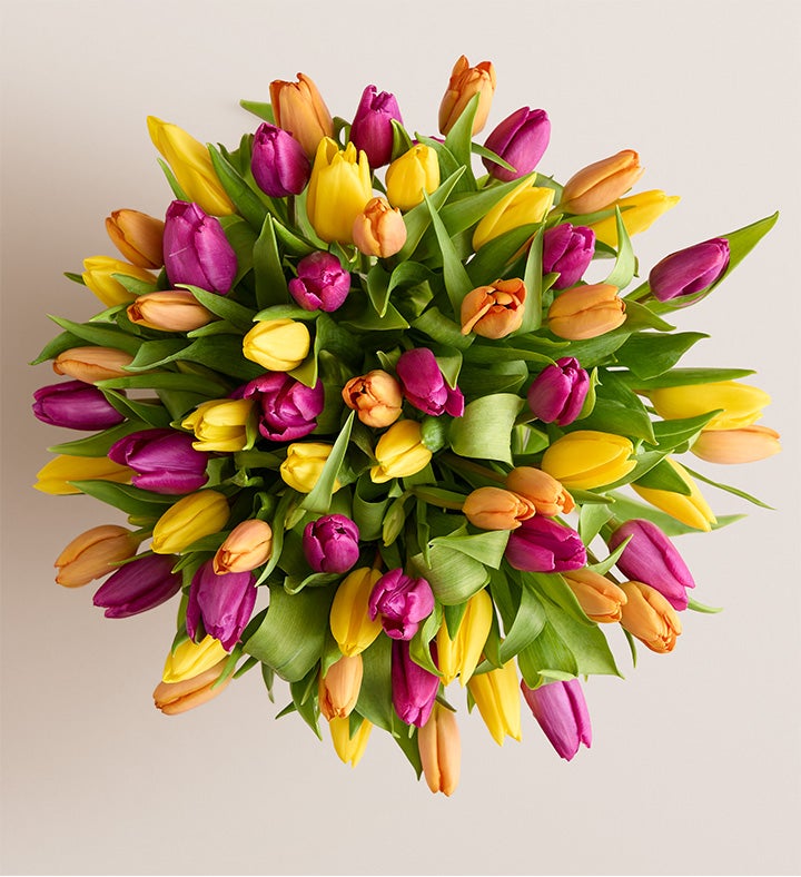 Deluxe Spring Assorted Tulip Bouquet, 60 Stems