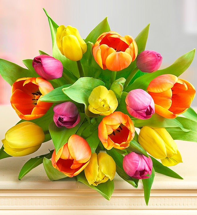 Assorted Tulip Bouquet