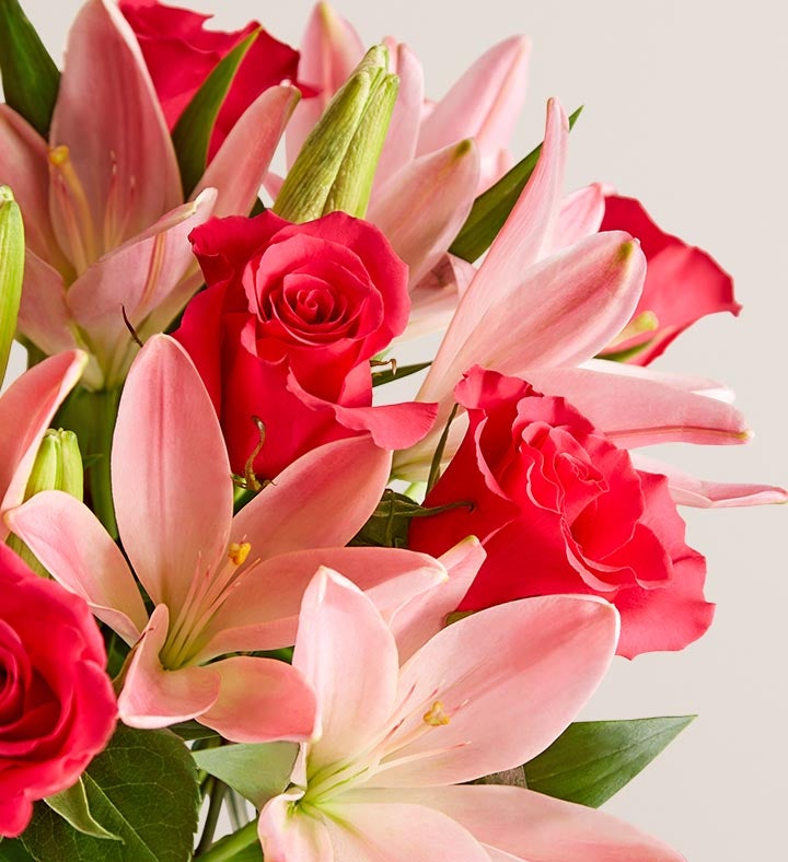 Magnificent Pink Rose & Lily | Long Stem Roses | 1800Flowers