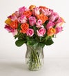 Sorbet Roses