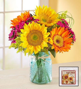 Housewarming Plants Housewarming Flowers 1800flowers Com - warm sunset bouquet