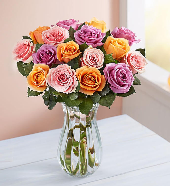 Sorbet Roses, Buy 12, Get 6 Free + Free Vase