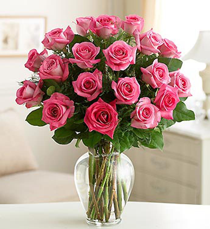 Rose Elegance™ Premium Long Stem Pink Roses