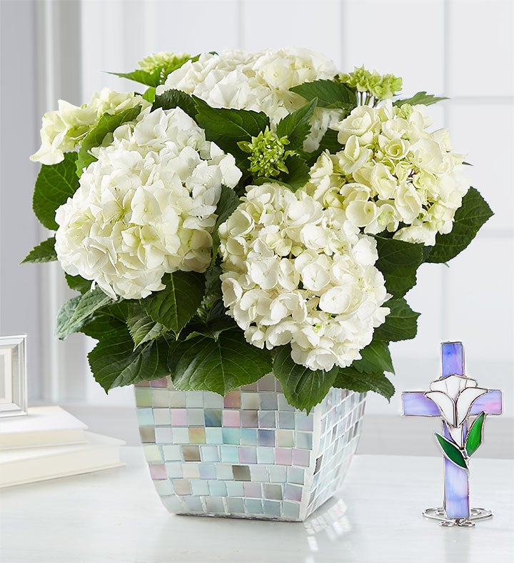 White Hydrangea In Mosaic For Sympathy 1800flowers Com 101012