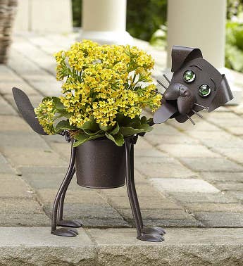 My Pet Plant - Dog or Cat