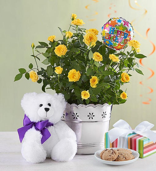 Happy Birthday Plant Bundle 1800flowers Com 101188