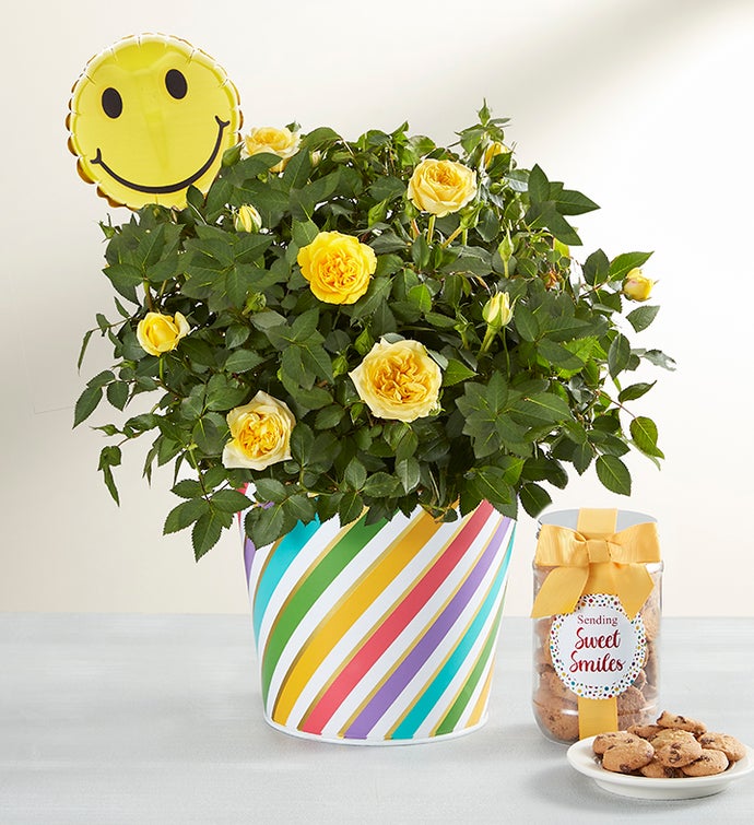Floral Embrace with Jumbo Smile Balloon Medium | 1-800-Flowers Flowers Delivery