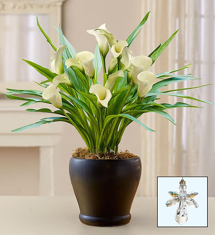 Loving Memory White Calla Lily