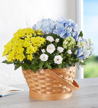 Joyful Blooms Dish Garden