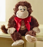 Hang in There Rose Plant