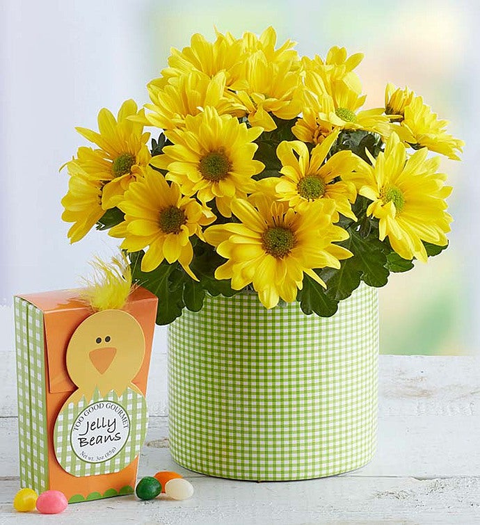 Flowers and Gifts | 1-800-FLOWERS.COM-11296