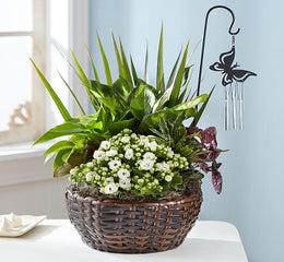 Butterfly Chime Dish Garden