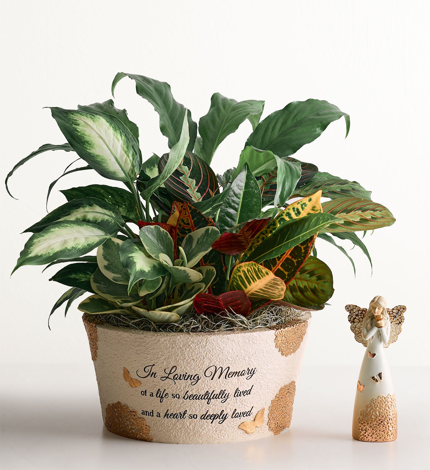 A Life So Beautiful Dish Garden