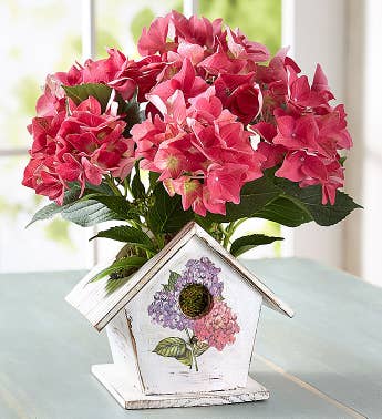 Bird House of Blooms