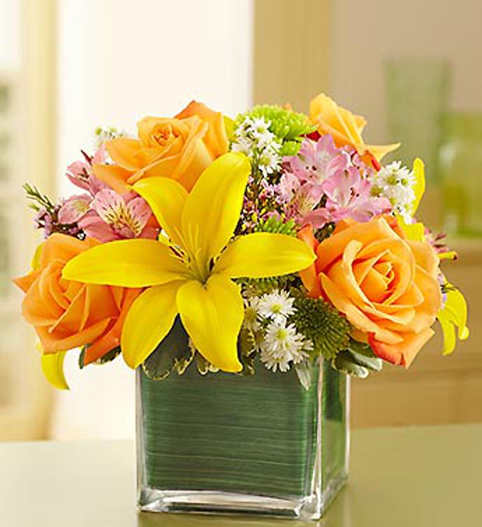 Fields of Europe in Cube Vase