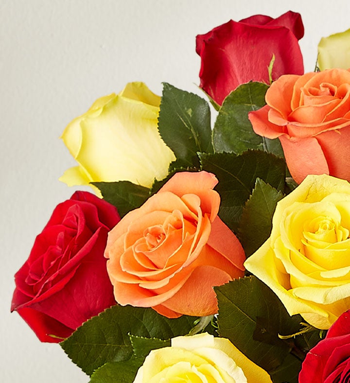 18 Stems Autumn Roses: Save 30%