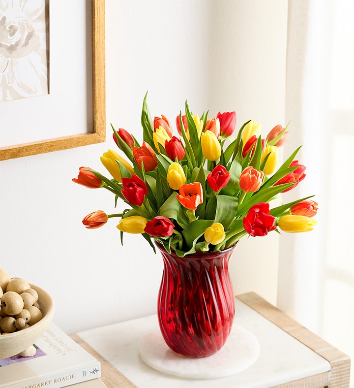 Our Favorite Fall Tulips™ + Free Vase