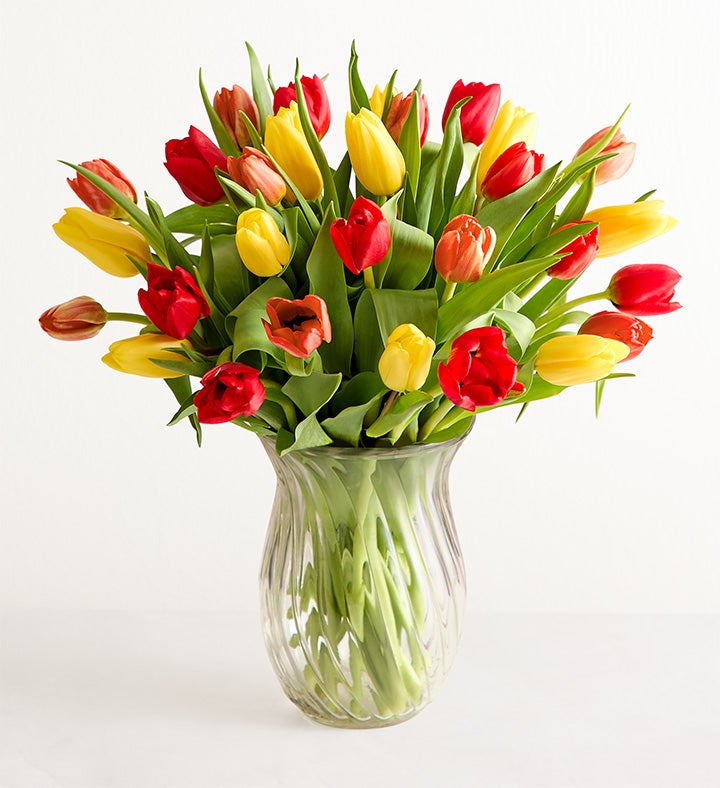 Bouquet Of Tulips